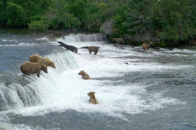 Brooks Falls, Katmai National Park and Preserve, Lake and Peninsula Borough, Alaska